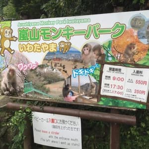 thumbnail: 74288639.jpg
