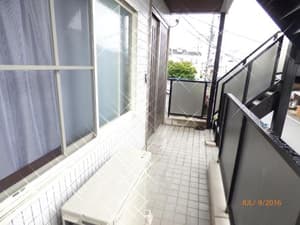 thumbnail: 113470263.jpg