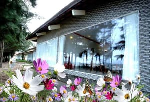 thumbnail: General view