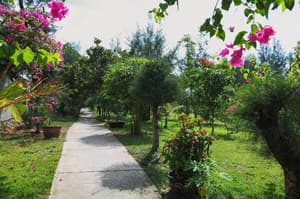 thumbnail: General view