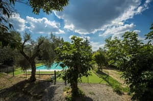 thumbnail: General view