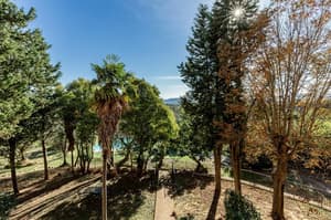 thumbnail: General view