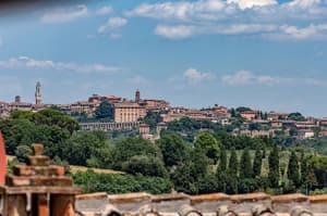 thumbnail: General view