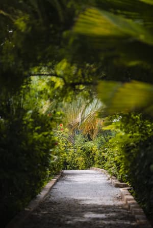 thumbnail: Garden