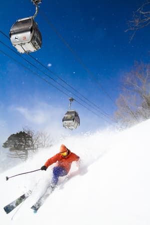 thumbnail: Skiing