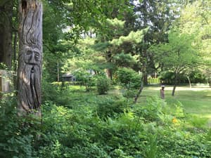 thumbnail: View from property