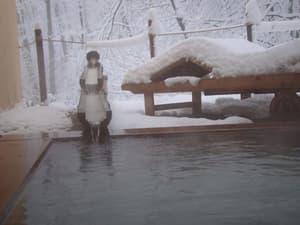 thumbnail: Property grounds
