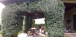 thumbnail: Interior