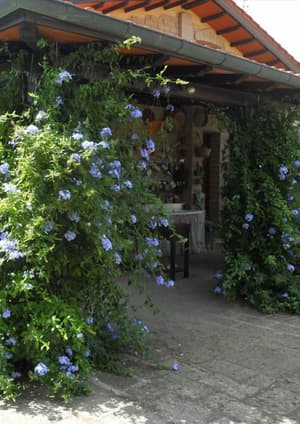 thumbnail: Interior