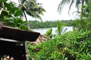 thumbnail: View from property