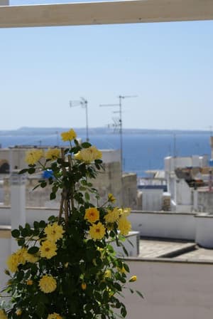 thumbnail: Terrace