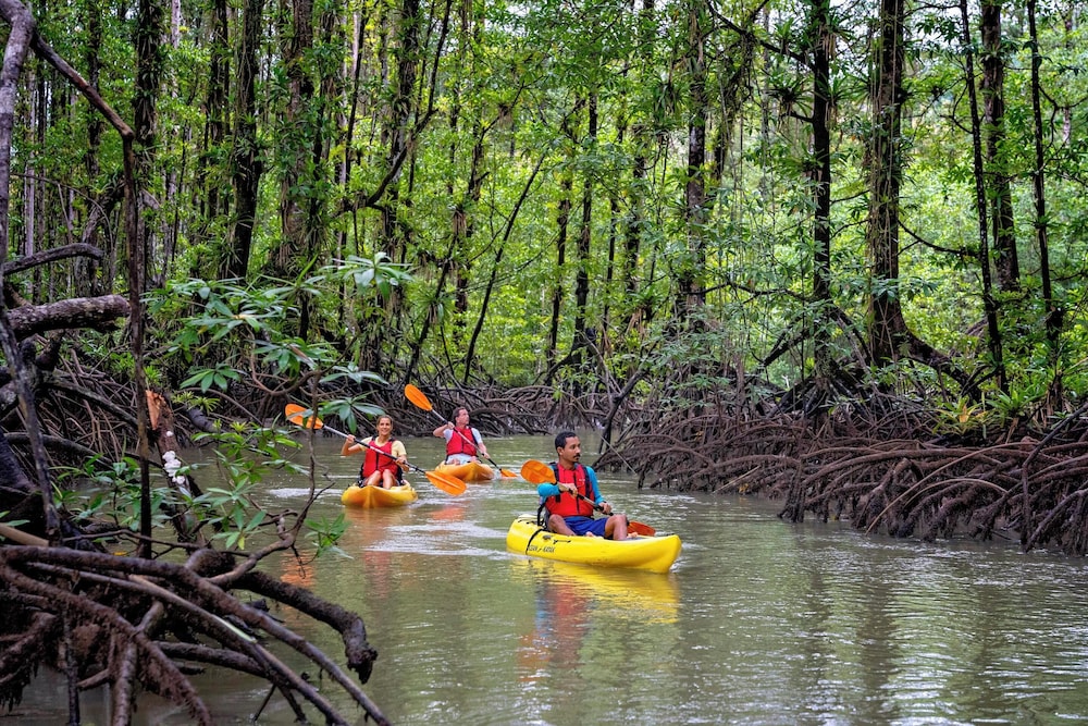 Kayaking