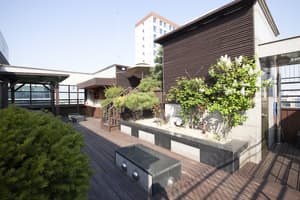 thumbnail: Rooftop terrace