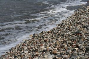 thumbnail: Beach