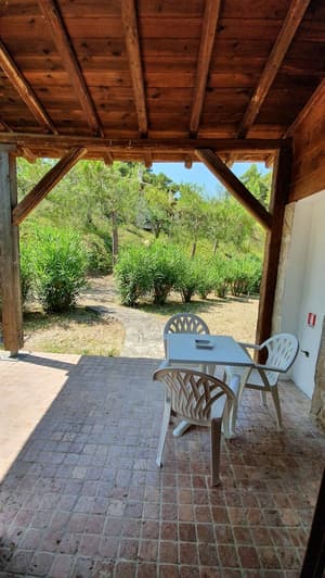 thumbnail: Terrace/patio