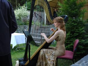 thumbnail: Outdoor wedding area