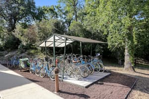 thumbnail: Bicycling