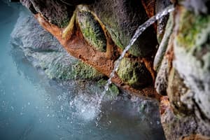 thumbnail: Hot springs