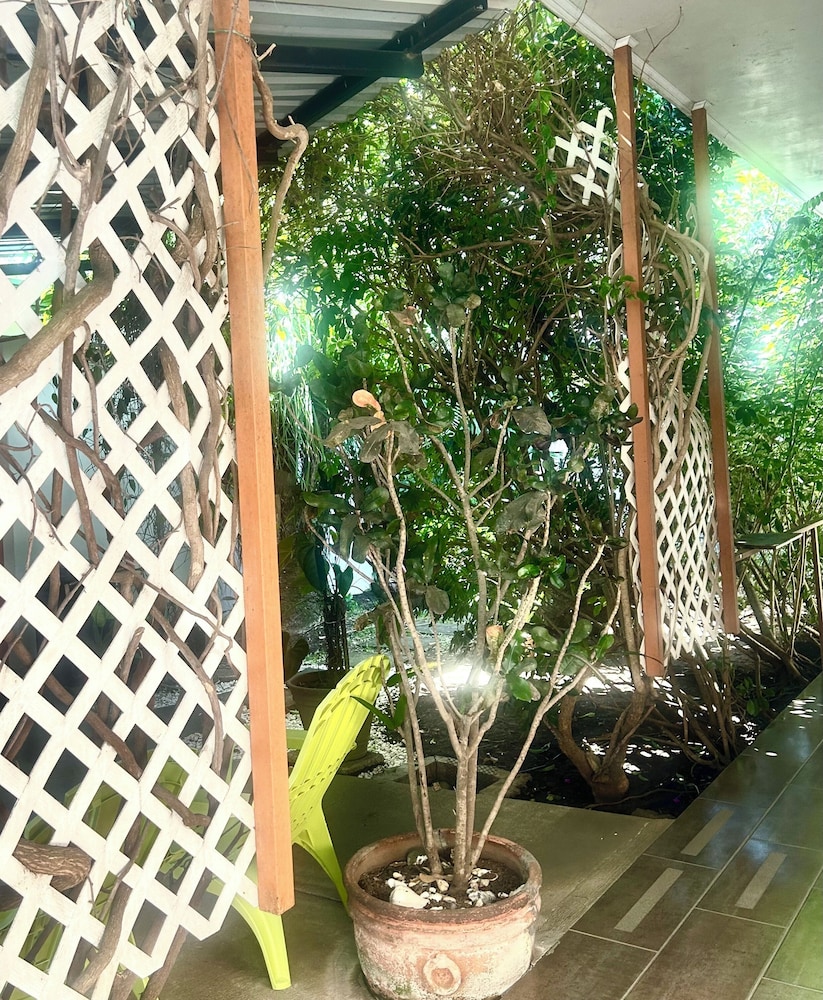 Courtyard view
