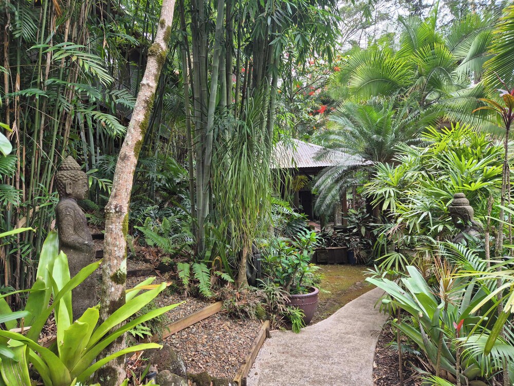 Garden view
