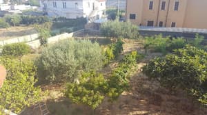 thumbnail: General view
