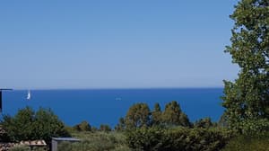 thumbnail: General view