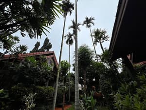thumbnail: Front of property