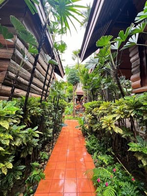 thumbnail: Garden