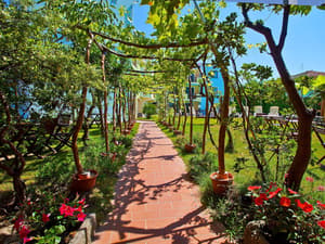 thumbnail: Garden