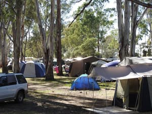 thumbnail: Property grounds