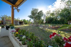 thumbnail: Courtyard