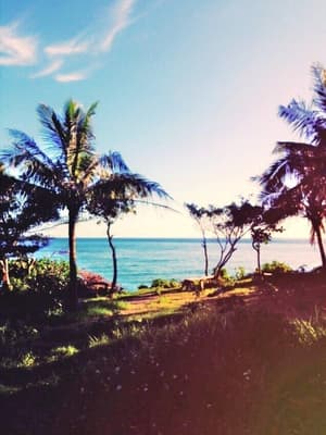 thumbnail: Beach
