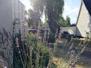 thumbnail: Garden
