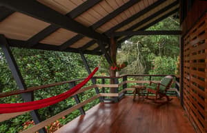 thumbnail: View from room