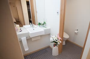 thumbnail: Bathroom sink