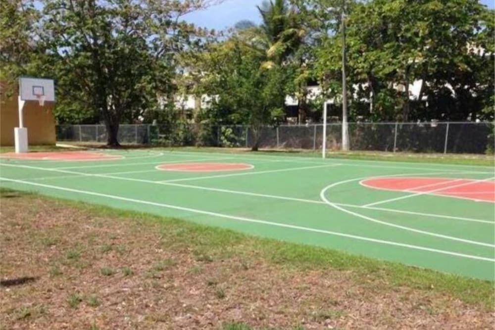 Basketball court