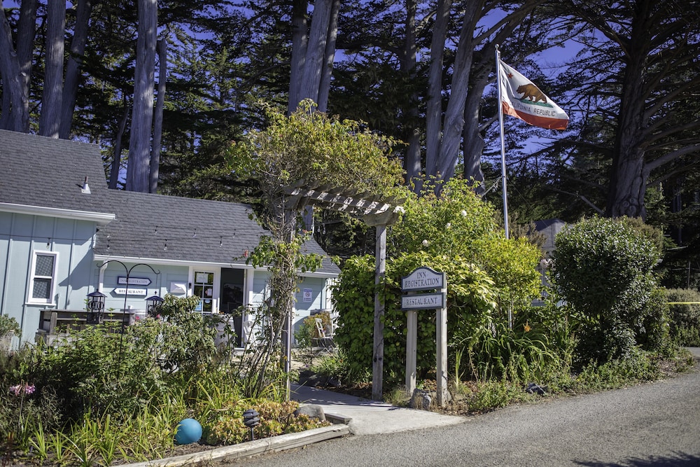Primary image