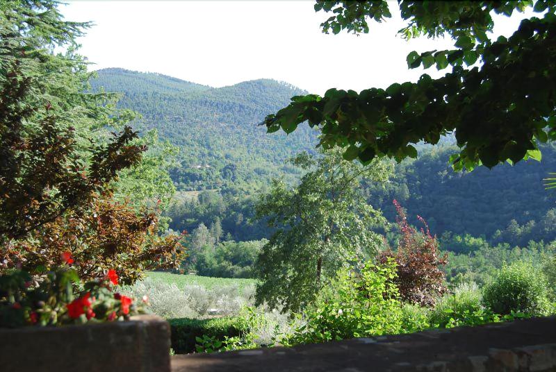 General view