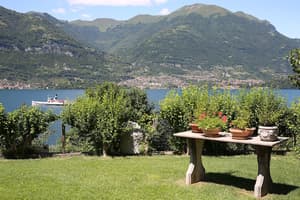thumbnail: Garden