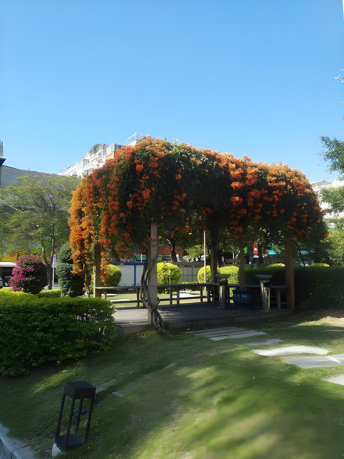 Surroundings