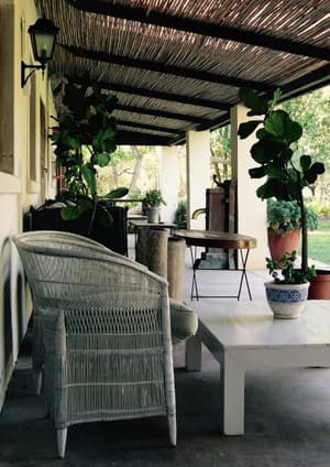 thumbnail: Terrace