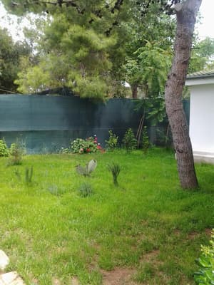 thumbnail: Property grounds