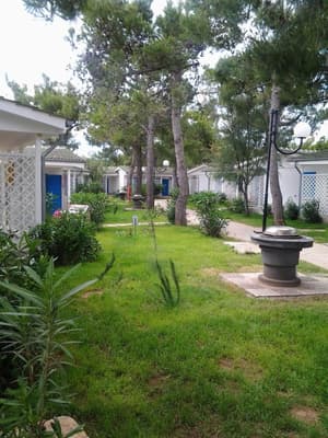 thumbnail: Property grounds