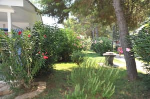 thumbnail: Property grounds