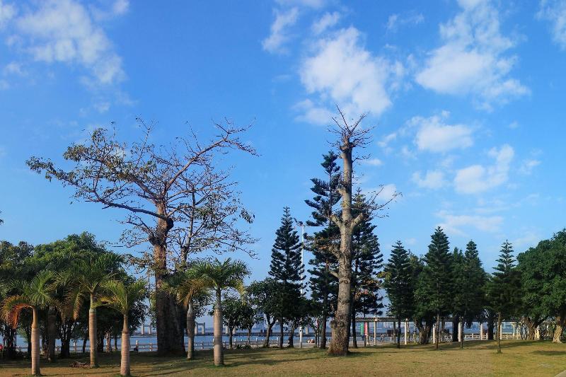 General view