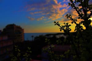 thumbnail: General view