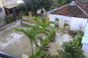 thumbnail: Property grounds