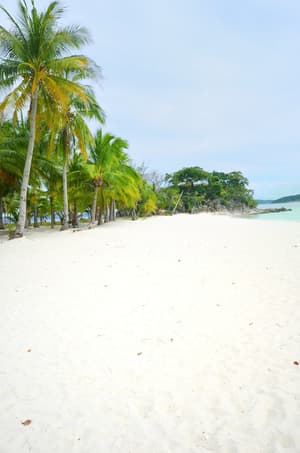 thumbnail: Beach