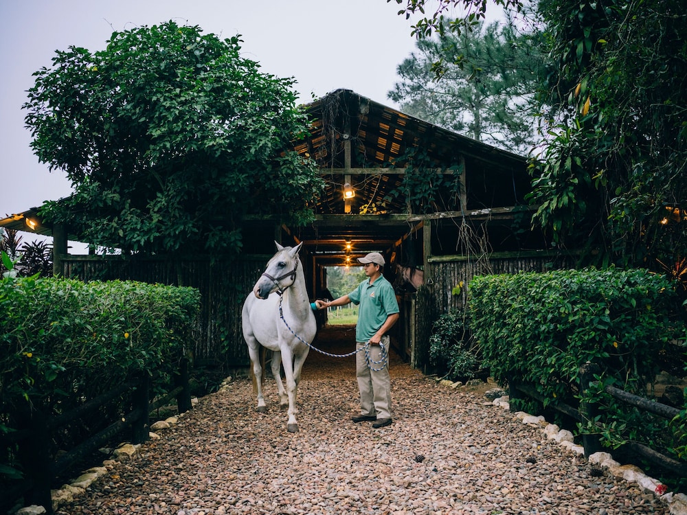 Horseback riding