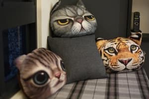 thumbnail: 51619202.jpg